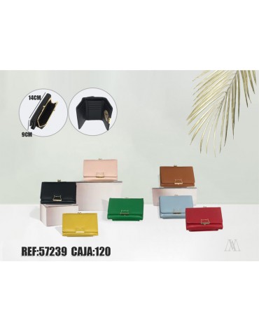 Cartera Mujer57239